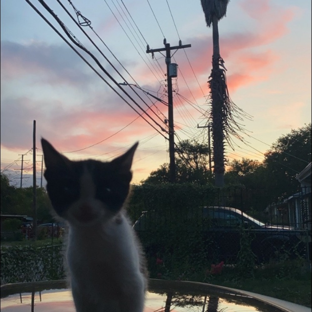 Meet your Posher, Esther